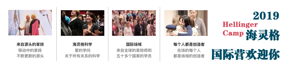 2017年海灵格德国国际营