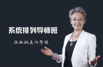 ��鱷���ʦ����ϵͳ�ǻ۹�����