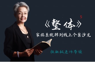 ��鱷���ʦ�����塷�������ϵͳ�ǻ����ϸ���ɳ��